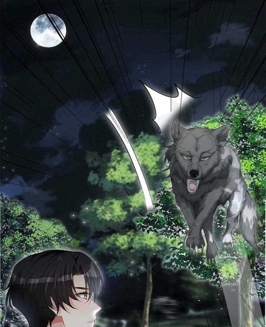 Trọng Sinh Đoàn Sủng: Phu Nhân Ảnh Đế Vừa Nghèo Vừa Dữ Chapter 31 trang 18