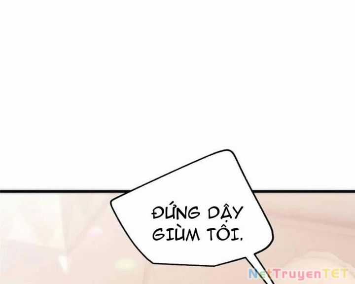 Trọng Sinh Không Làm Chạn Vương, Tôi Một Mình Nạp Game Thăng Cấp Chapter 195 trang 48