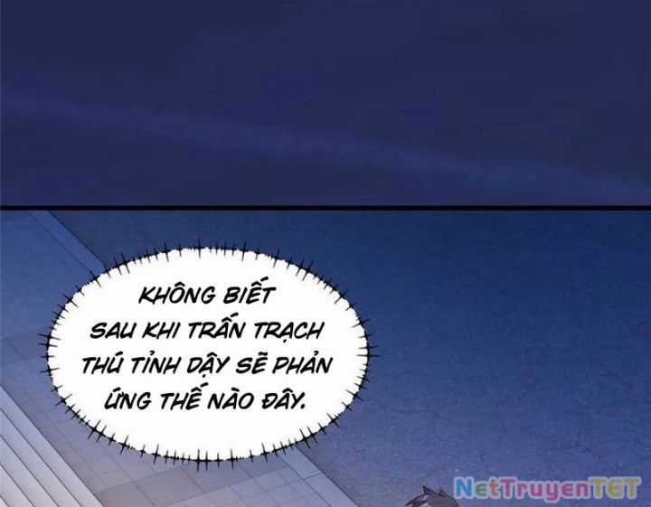 Trọng Sinh Không Làm Chạn Vương, Tôi Một Mình Nạp Game Thăng Cấp Chapter 195 trang 93