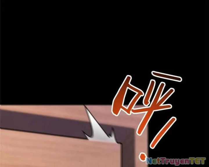 Trọng Sinh Không Làm Chạn Vương, Tôi Một Mình Nạp Game Thăng Cấp Chapter 196 trang 59