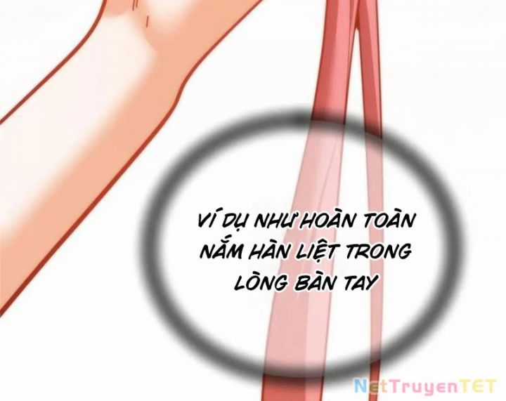 Trọng Sinh Không Làm Chạn Vương, Tôi Một Mình Nạp Game Thăng Cấp Chapter 196 trang 95