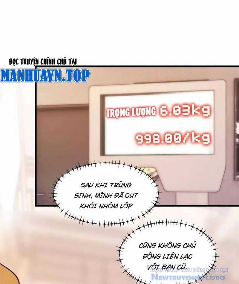 Trọng Sinh Không Làm Chạn Vương, Tôi Một Mình Nạp Game Thăng Cấp Chương 231 trang 5