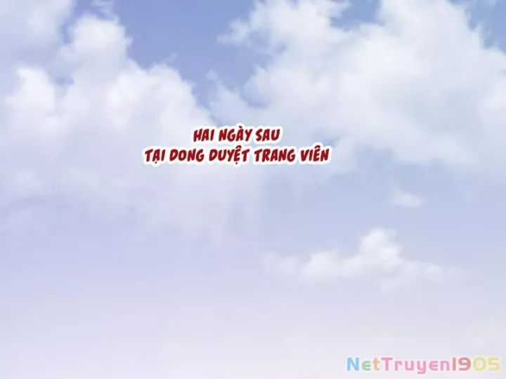 Trọng Sinh Không Làm Chạn Vương, Tôi Một Mình Nạp Game Thăng Cấp Chương 248 trang 2