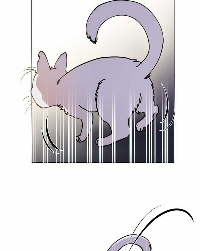 Trọng Sinh Mạc Thế Chapter 104 trang 11