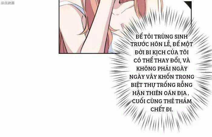 Trọng Sinh Noãn Hôn Khinh Sủng Thê Chapter 1 trang 20