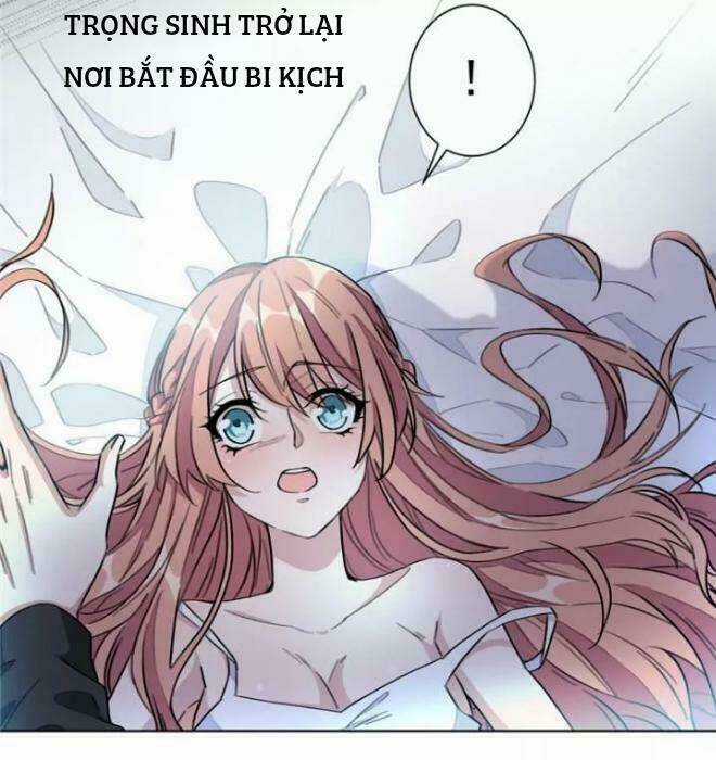 Trọng Sinh Noãn Hôn Khinh Sủng Thê Chapter 1 trang 9