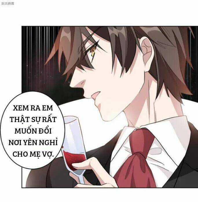 Trọng Sinh Noãn Hôn Khinh Sủng Thê Chapter 10 trang 24