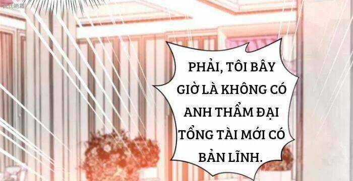 Trọng Sinh Noãn Hôn Khinh Sủng Thê Chapter 10 trang 28