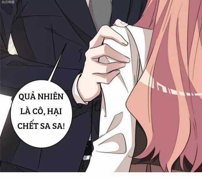 Trọng Sinh Noãn Hôn Khinh Sủng Thê Chapter 19 trang 19