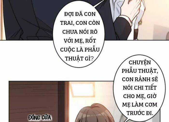 Trọng Sinh Noãn Hôn Khinh Sủng Thê Chapter 19 trang 5