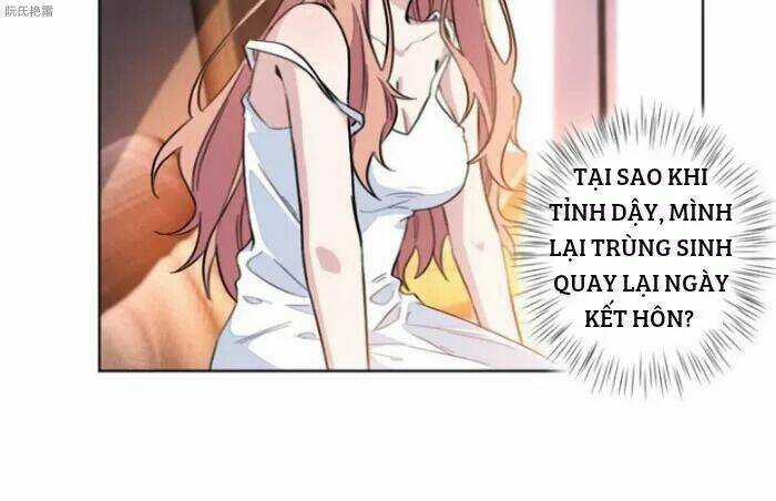 Trọng Sinh Noãn Hôn Khinh Sủng Thê Chapter 2 trang 33