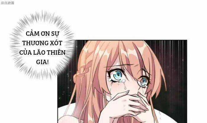 Trọng Sinh Noãn Hôn Khinh Sủng Thê Chapter 2 trang 38