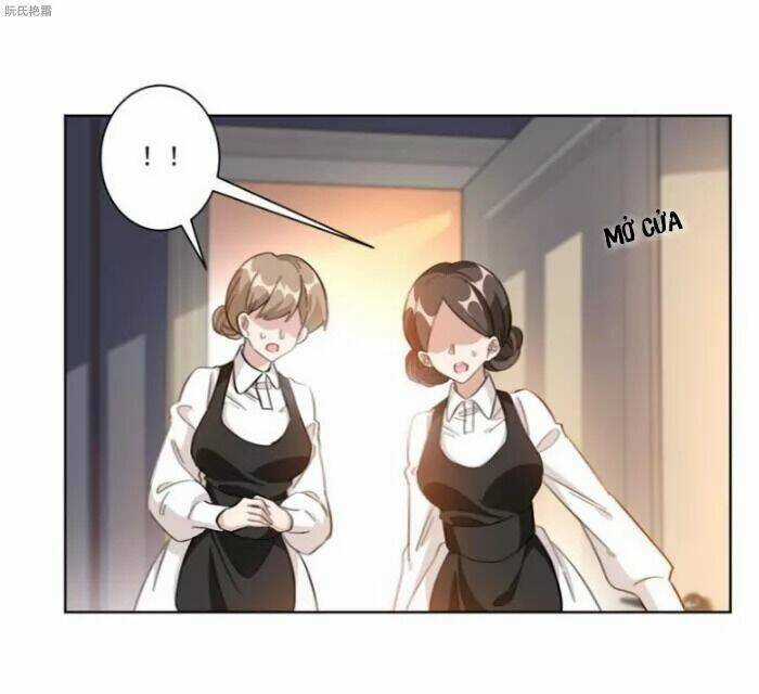 Trọng Sinh Noãn Hôn Khinh Sủng Thê Chapter 2 trang 41