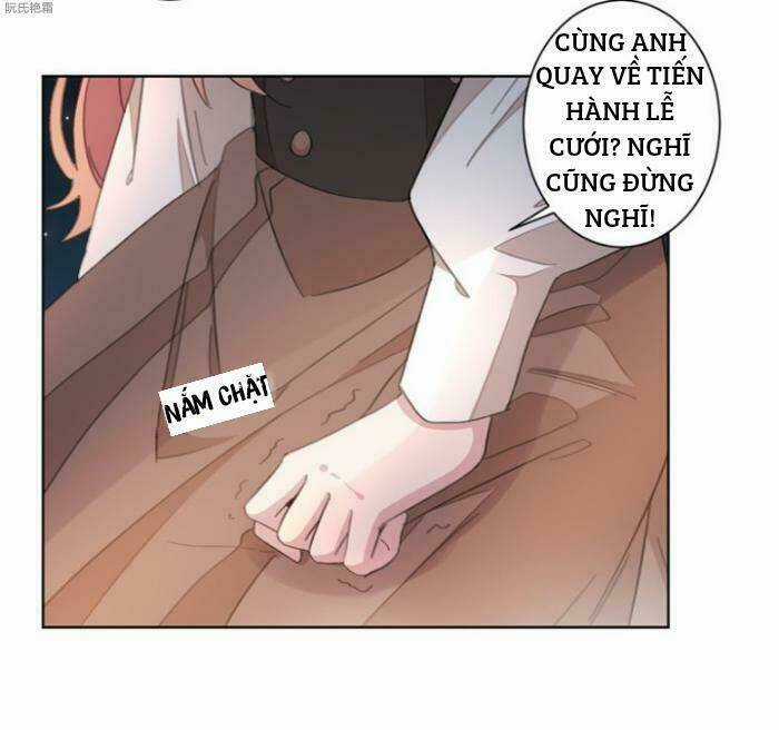 Trọng Sinh Noãn Hôn Khinh Sủng Thê Chapter 3 trang 17