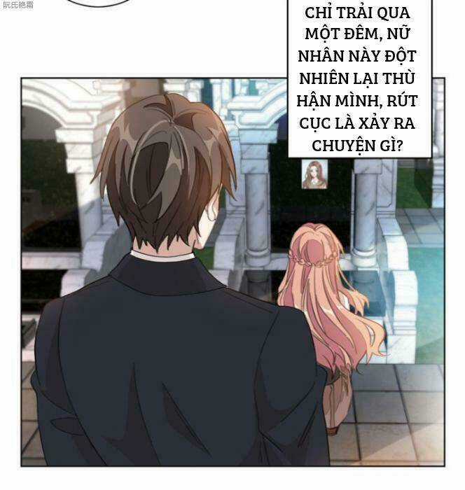 Trọng Sinh Noãn Hôn Khinh Sủng Thê Chapter 3 trang 25