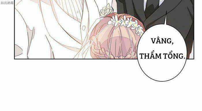 Trọng Sinh Noãn Hôn Khinh Sủng Thê Chapter 6 trang 16