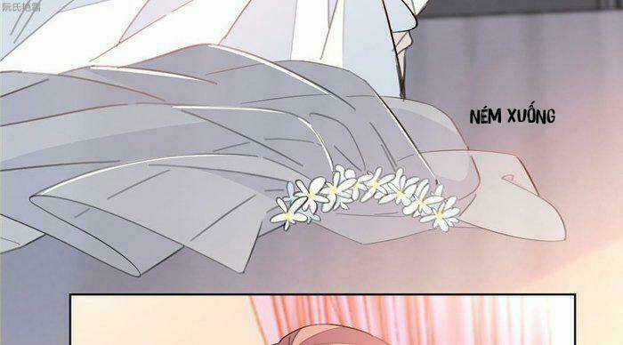 Trọng Sinh Noãn Hôn Khinh Sủng Thê Chapter 6 trang 31