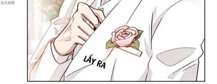 Trọng Sinh Noãn Hôn Khinh Sủng Thê Chapter 7 trang 7