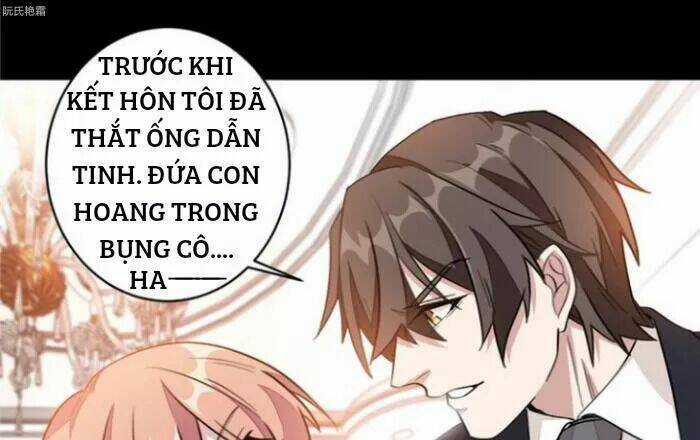 Trọng Sinh Noãn Hôn Khinh Sủng Thê Chapter 9 trang 5