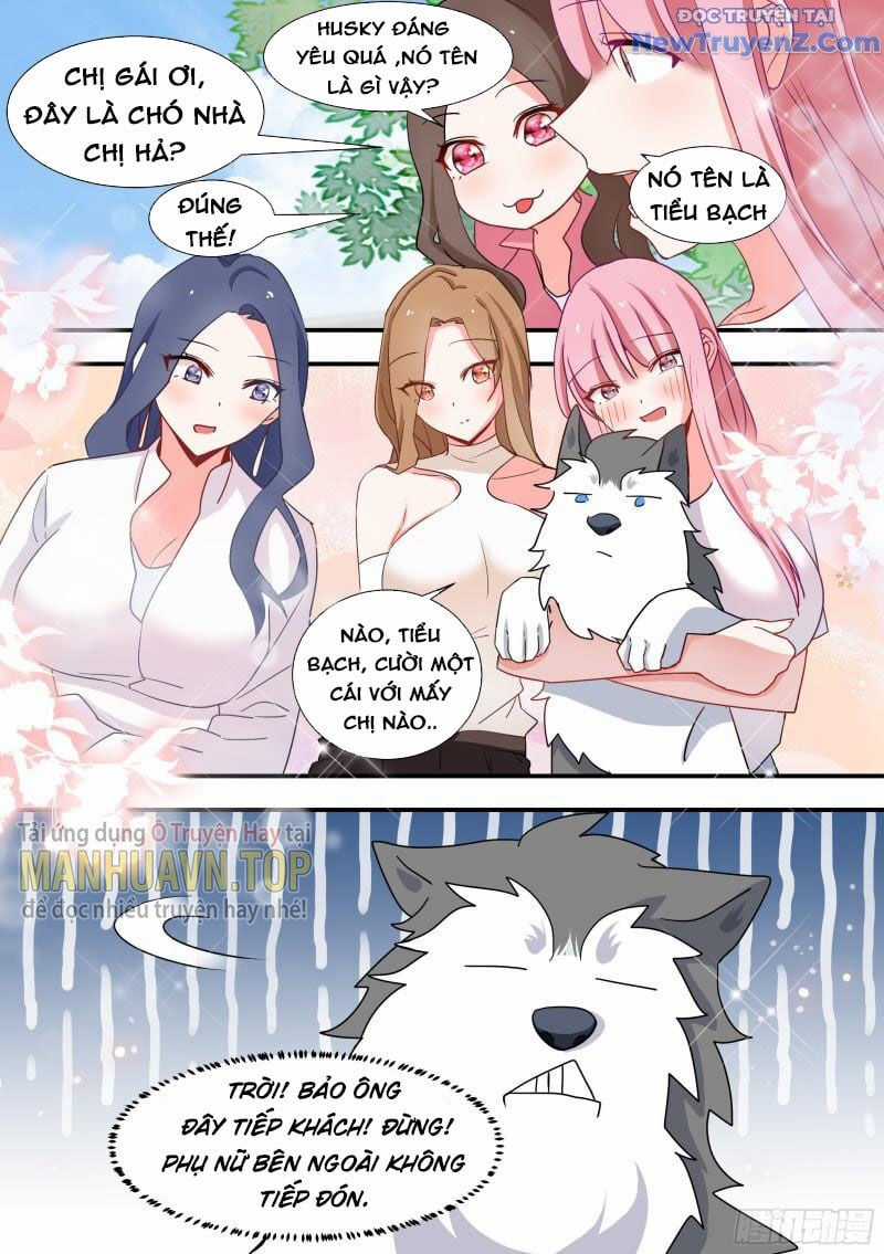 Trọng Sinh Thành Chó Của Nữ Thần Chapter 101 trang 11