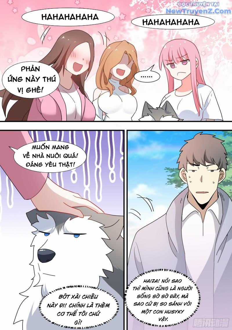 Trọng Sinh Thành Chó Của Nữ Thần Chapter 101 trang 12