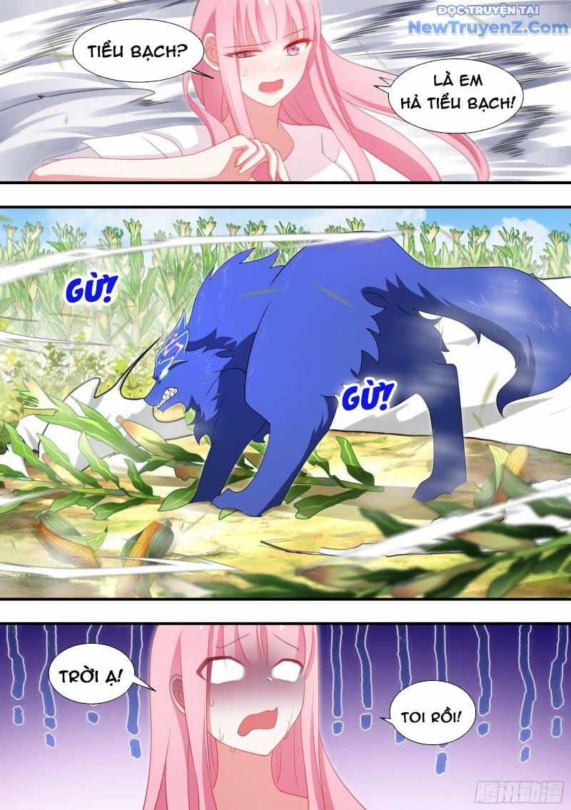 Trọng Sinh Thành Chó Của Nữ Thần Chapter 102 trang 10