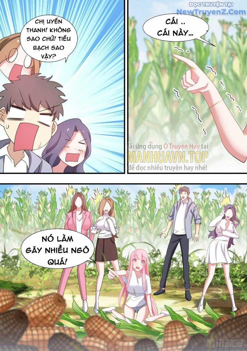 Trọng Sinh Thành Chó Của Nữ Thần Chapter 102 trang 11