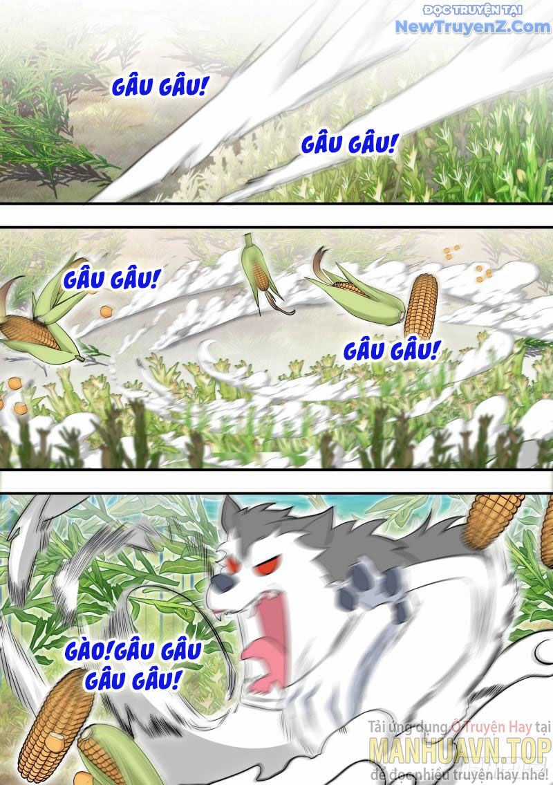 Trọng Sinh Thành Chó Của Nữ Thần Chapter 102 trang 7