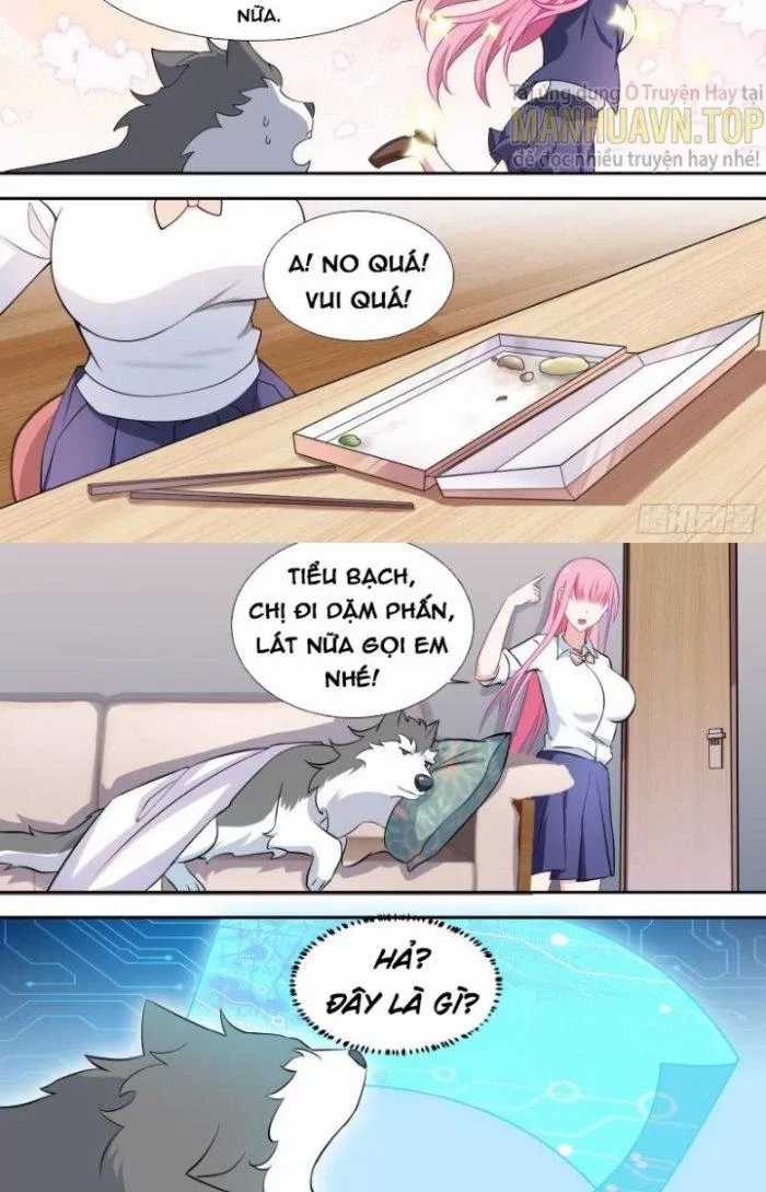 Trọng Sinh Thành Chó Của Nữ Thần Chapter 89 trang 6