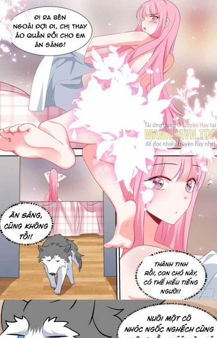 Trọng Sinh Thành Chó Của Nữ Thần Chapter 90 trang 11