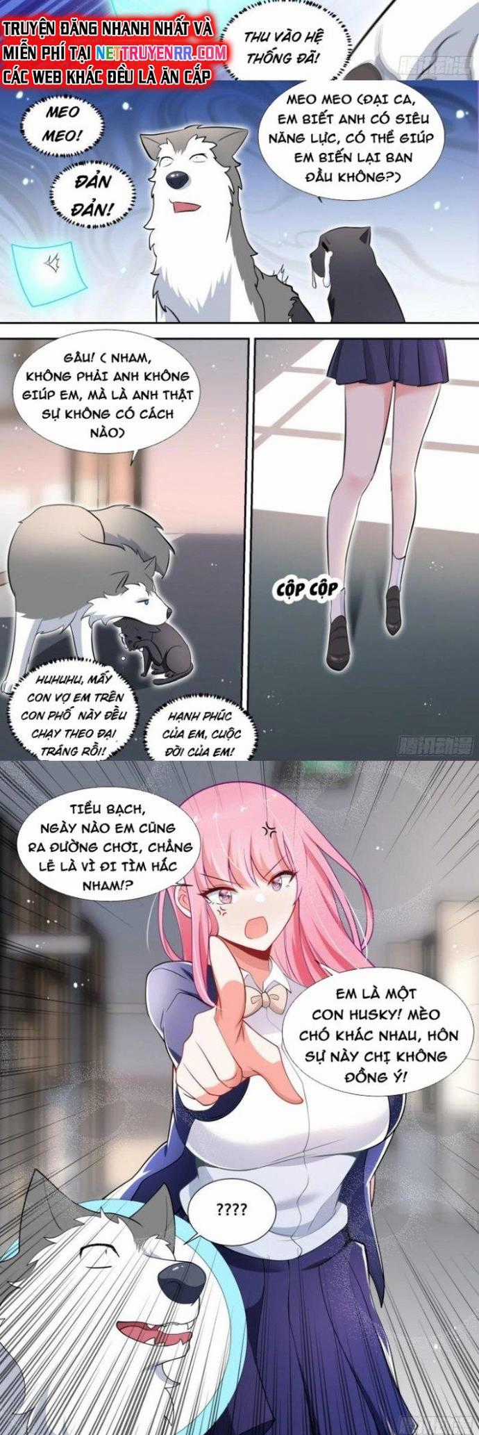 Trọng Sinh Thành Chó Của Nữ Thần Chapter 95 trang 2