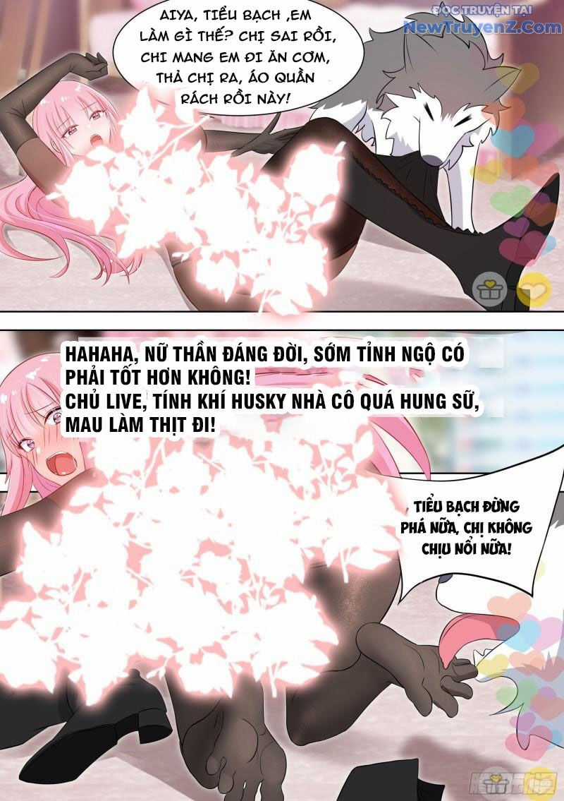 Trọng Sinh Thành Chó Của Nữ Thần Chapter 98 trang 3