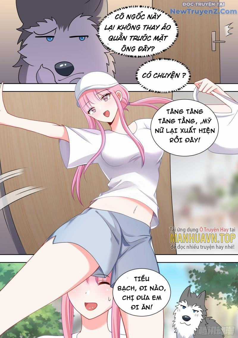 Trọng Sinh Thành Chó Của Nữ Thần Chapter 98 trang 5
