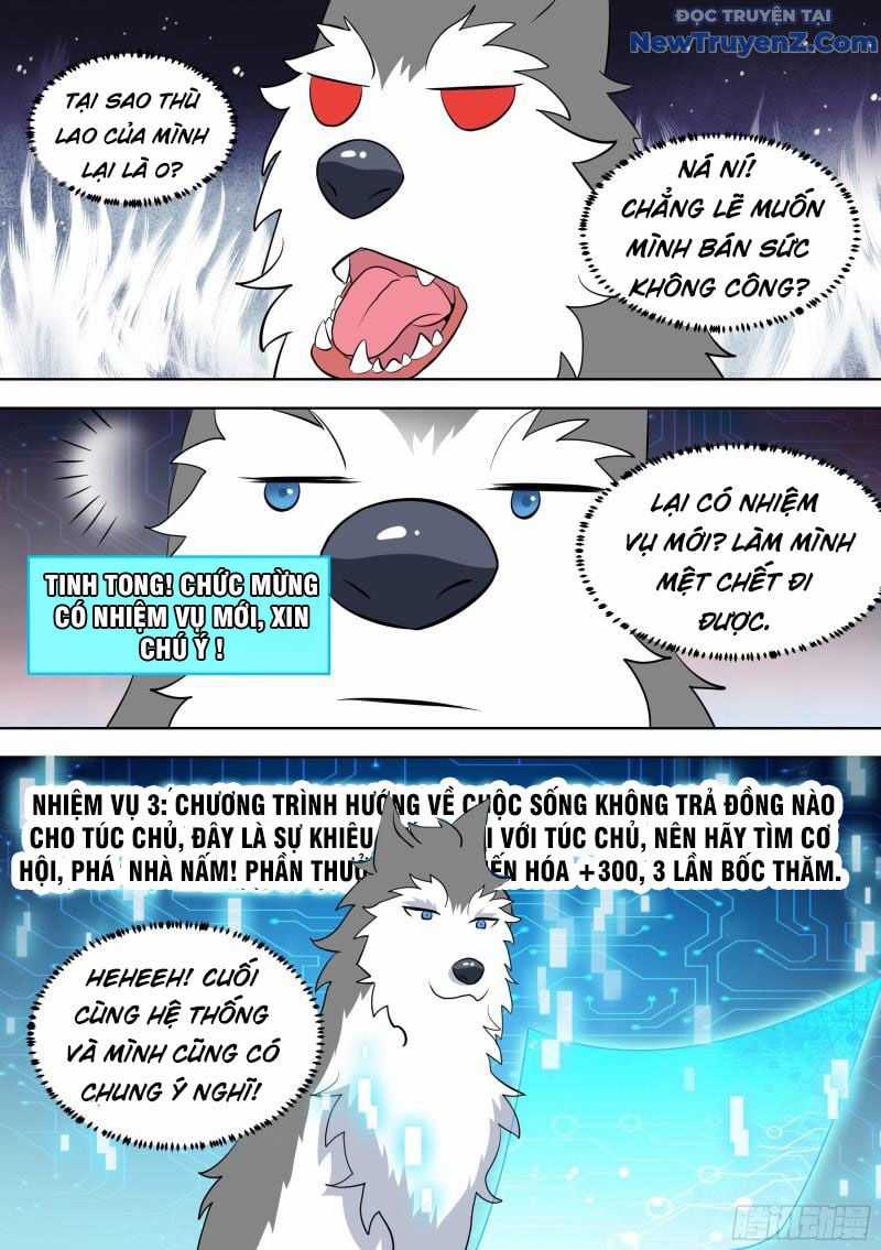 Trọng Sinh Thành Chó Của Nữ Thần Chapter 98 trang 7