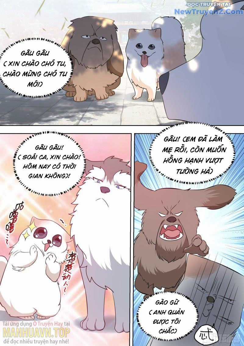 Trọng Sinh Thành Chó Của Nữ Thần Chapter 99 trang 11
