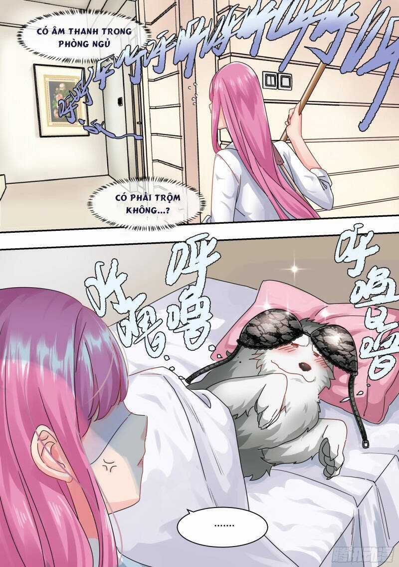 Trọng Sinh Thành Chó Của Nữ Thần Chương 1 trang 12