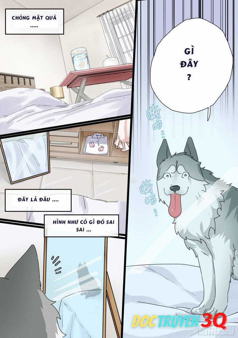 Trọng Sinh Thành Chó Của Nữ Thần Chương 1 trang 2