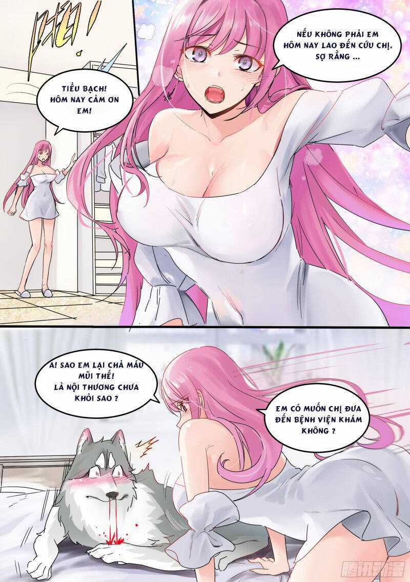 Trọng Sinh Thành Chó Của Nữ Thần Chương 1 trang 4