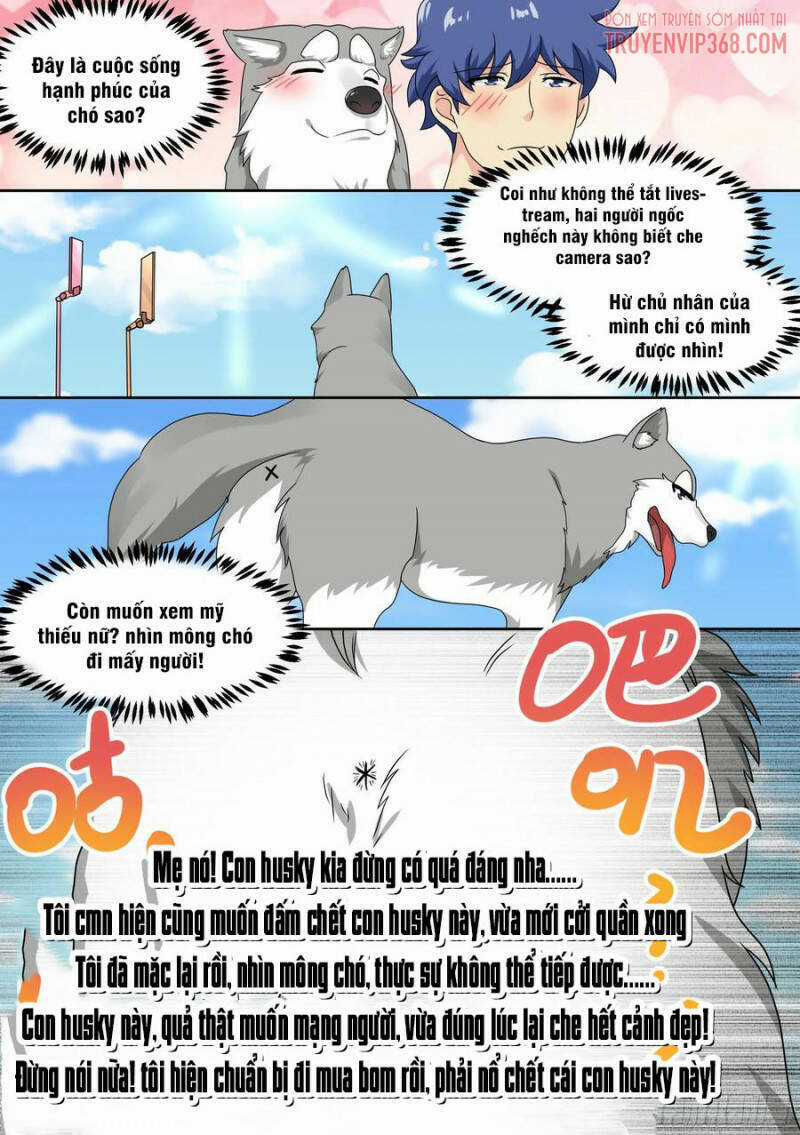 Trọng Sinh Thành Chó Của Nữ Thần Chương 19 trang 12