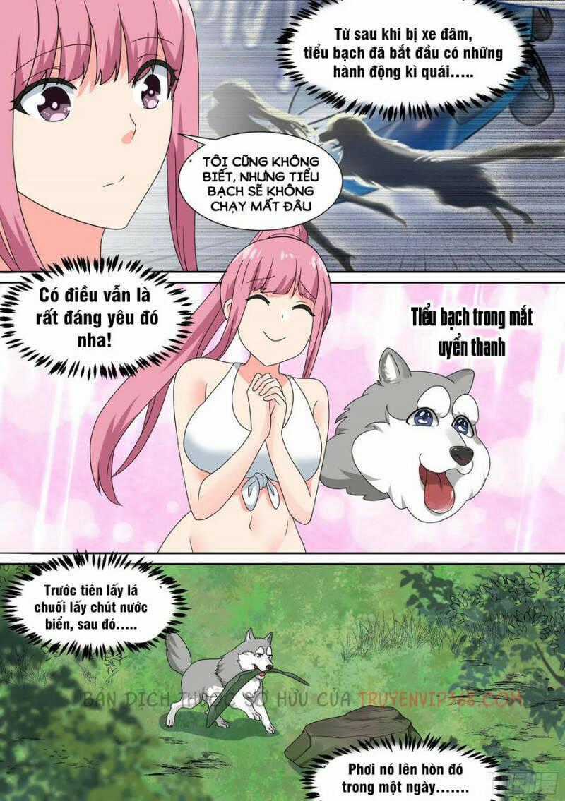 Trọng Sinh Thành Chó Của Nữ Thần Chương 19 trang 14