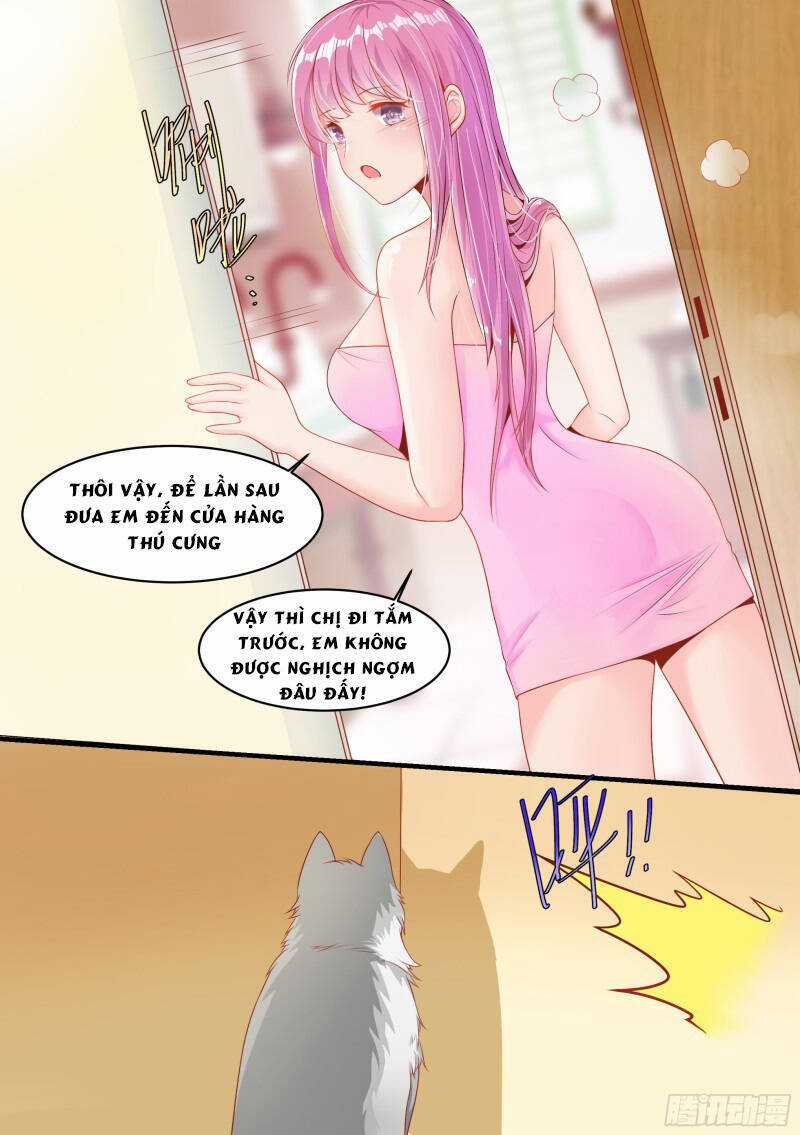 Trọng Sinh Thành Chó Của Nữ Thần Chương 2 trang 15