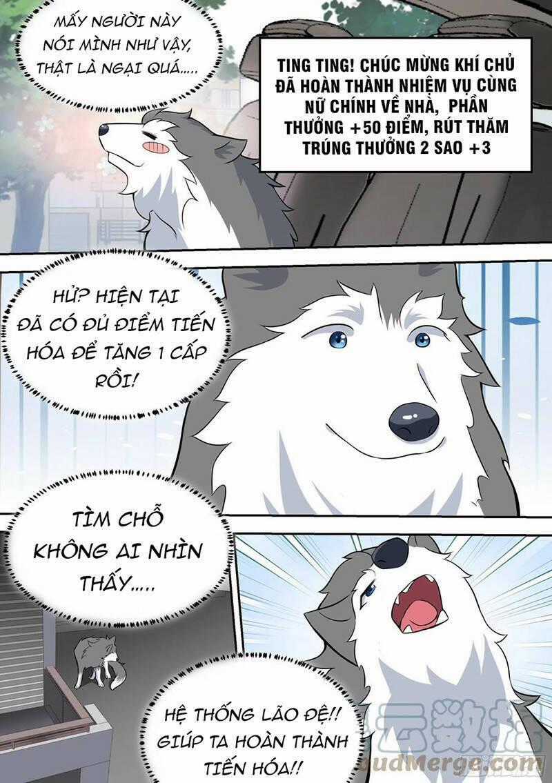 Trọng Sinh Thành Chó Của Nữ Thần Chương 63 trang 10