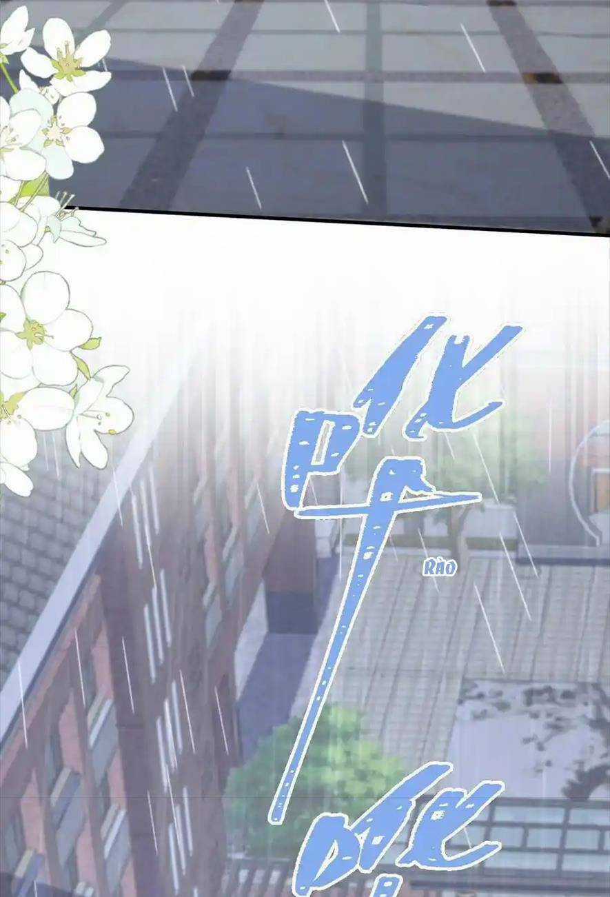 TRỌNG SINH TRỞ LẠI LÀM VỢ TỔNG TÀI Chapter 87 trang 1