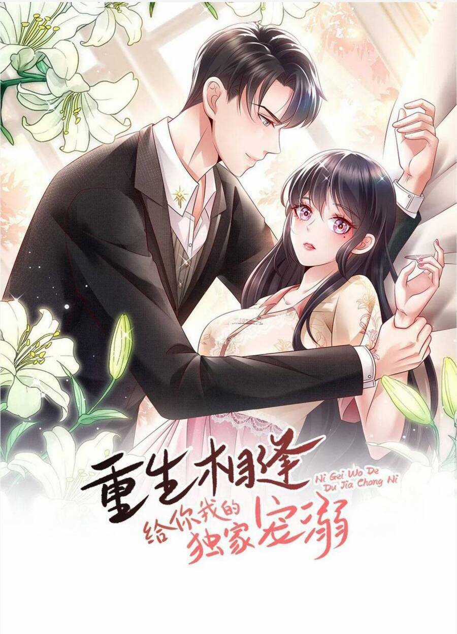 Trọng Sinh Trở Lại: Sủng Nịch Độc Nhất Vô Nhị Chapter 217 trang 0