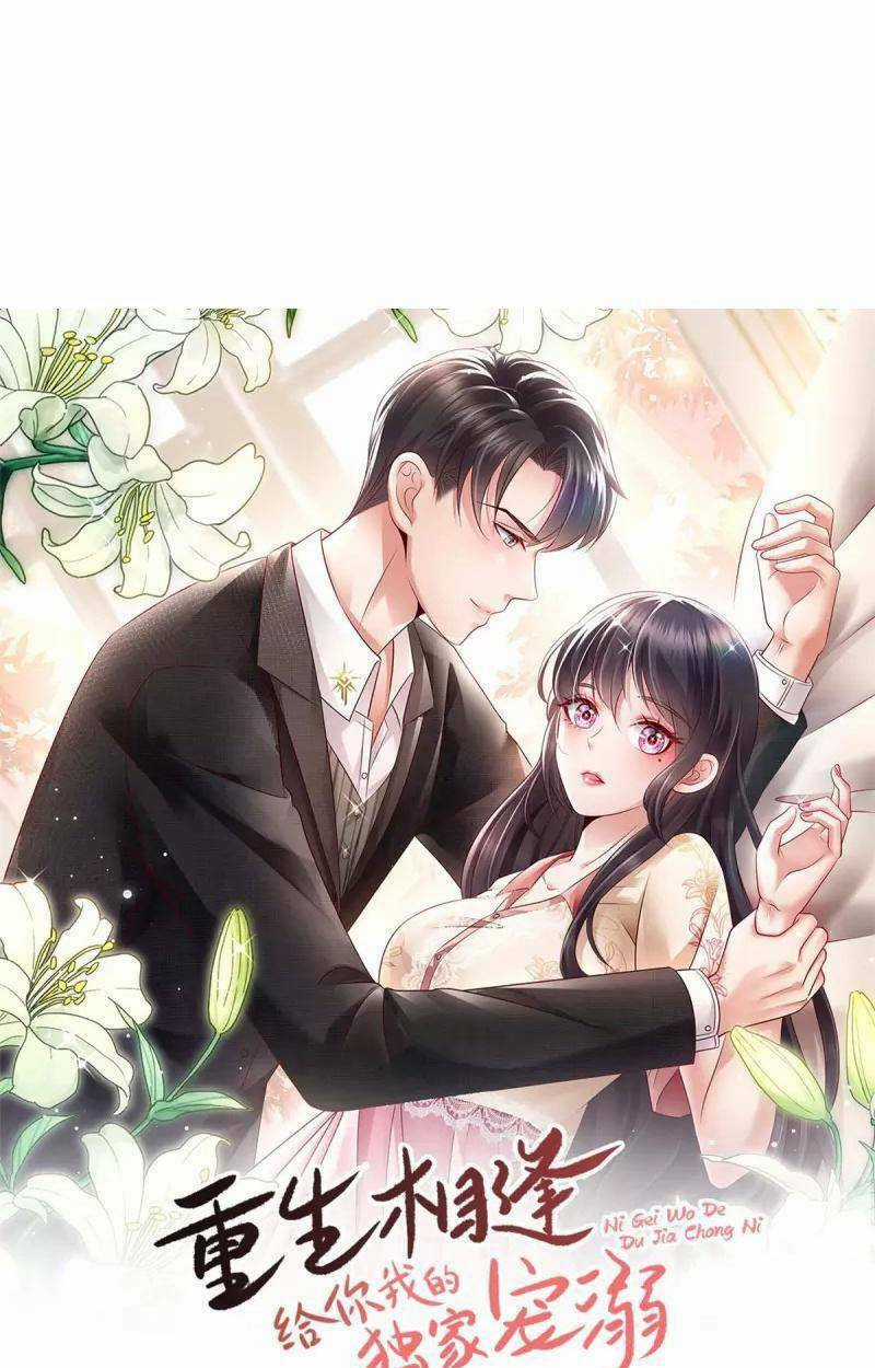 Trọng Sinh Trở Lại: Sủng Nịch Độc Nhất Vô Nhị Chapter 220 trang 0