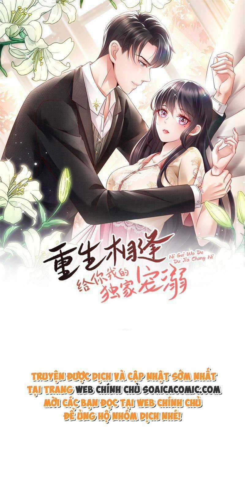 Trọng Sinh Trở Lại: Sủng Nịch Độc Nhất Vô Nhị Chapter 285 trang 0