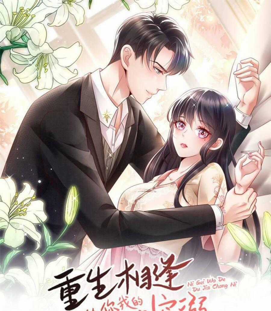 Trọng Sinh Trở Lại: Sủng Nịch Độc Nhất Vô Nhị Chapter 289 trang 0