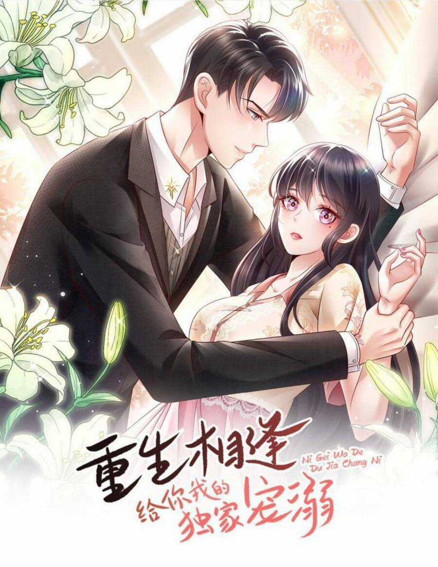 Trọng Sinh Trở Lại: Sủng Nịch Độc Nhất Vô Nhị Chapter 292 trang 0