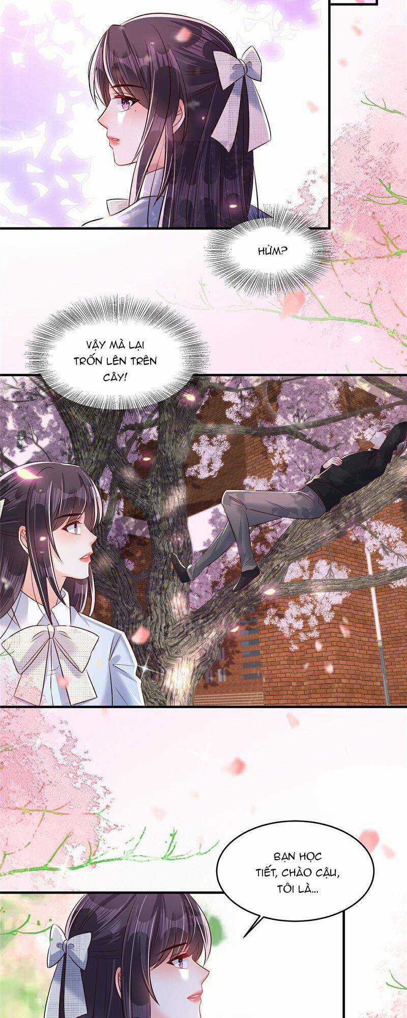 Trọng Sinh Trở Lại: Sủng Nịch Độc Nhất Vô Nhị Chapter 344 trang 8