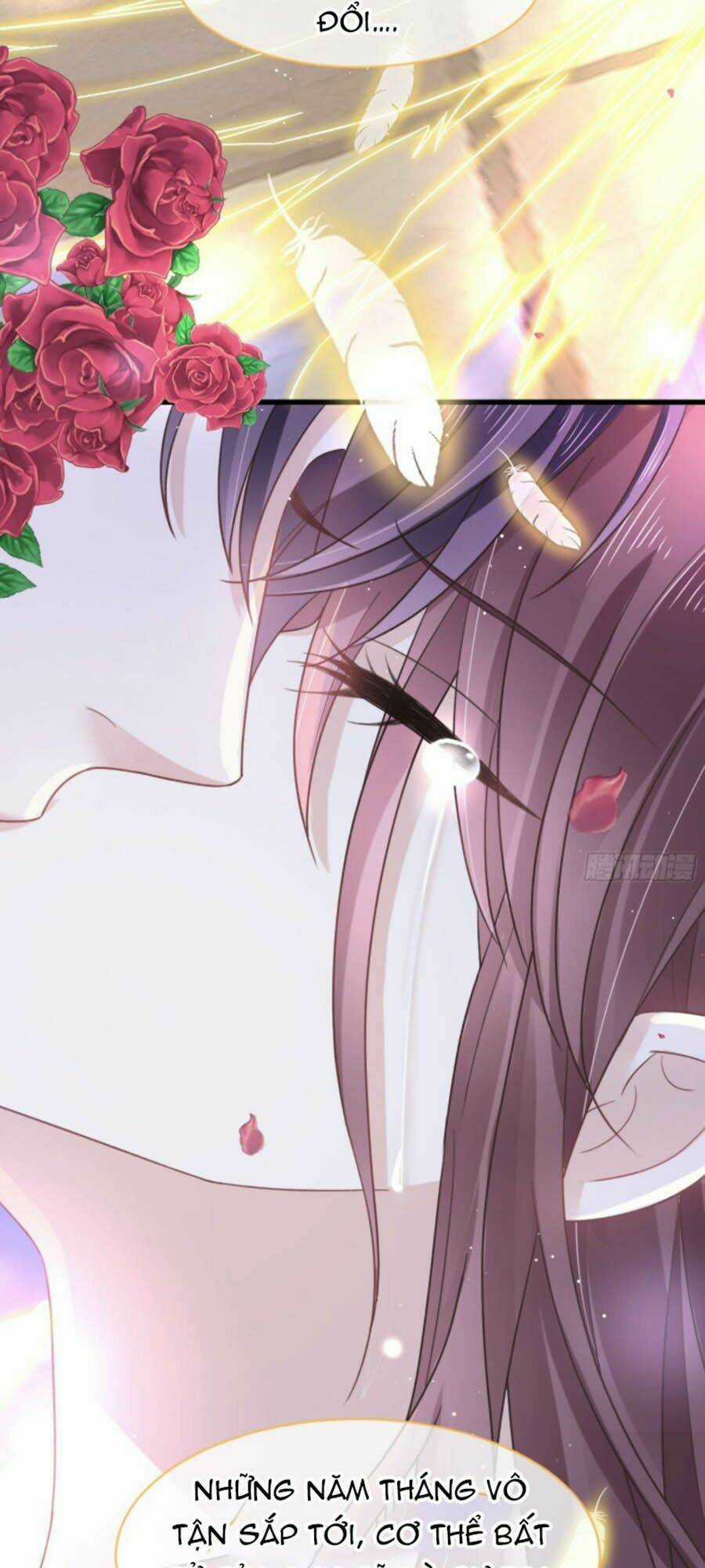 Trọng Sinh Trở Thành Món Tráng Miệng Của Tổng Tài Ma Cà Rồng Chapter 1 trang 9